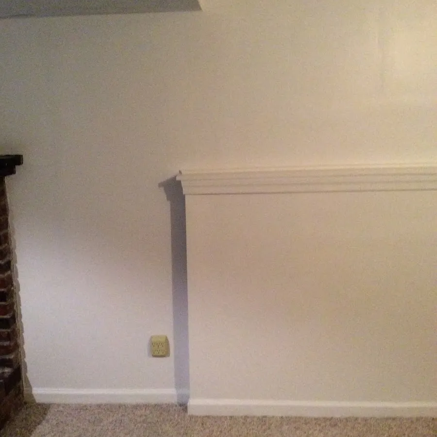 Basement wall repair and restoration in Raisin