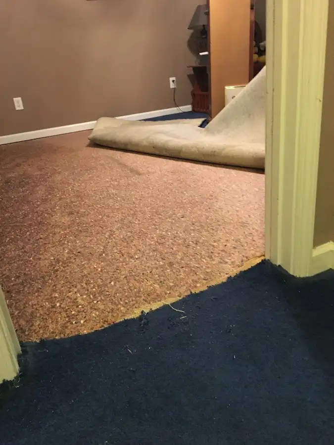 Carpet pad removal revealing water damage during Water Mitigation Services in Raisin