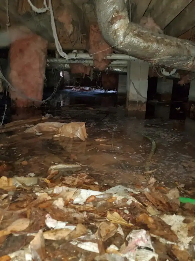 Crawl space flood assessment for Commercial Water Damage Restoration in Raisin